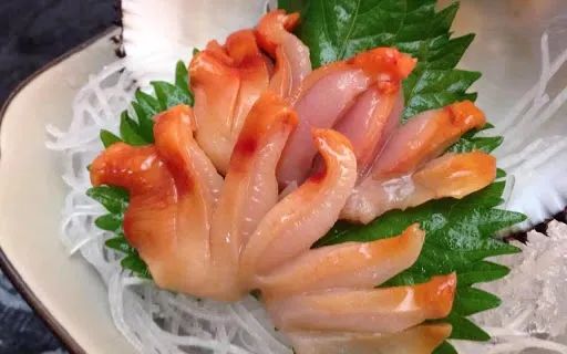 蛤蜊蚶子蛏子区别,蛏子海螺牡蛎蛤蜊