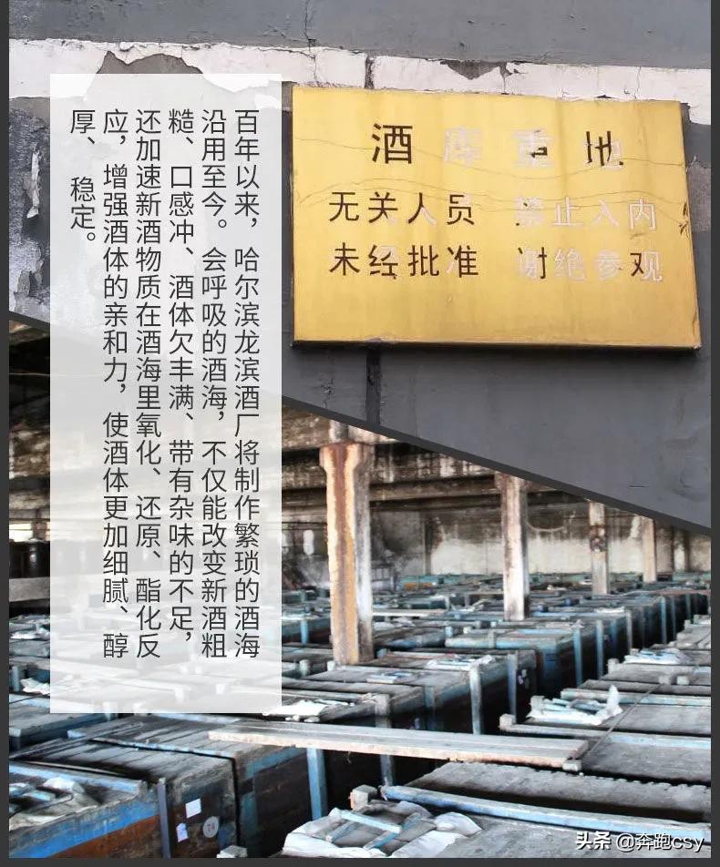 北方酱香经典酒,龙滨酒是大曲酱香还是麸曲酱香酒