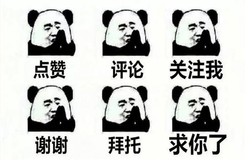 智能养猪科普,智能养猪的现代化技术有哪些