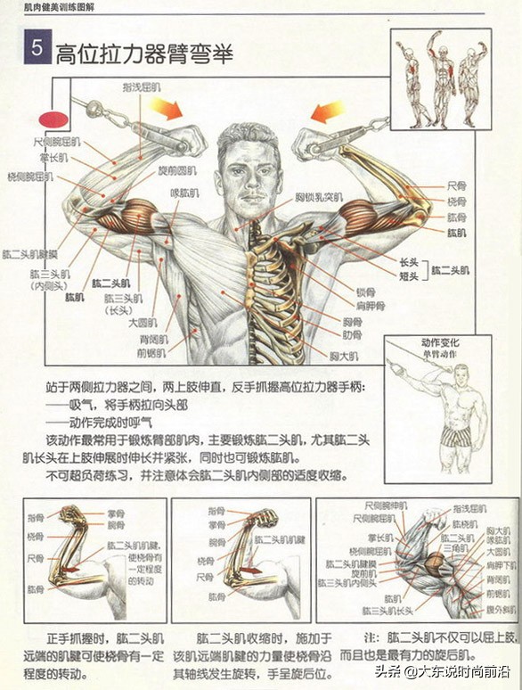减脂健身计划一周表,减脂健身计划一周表图