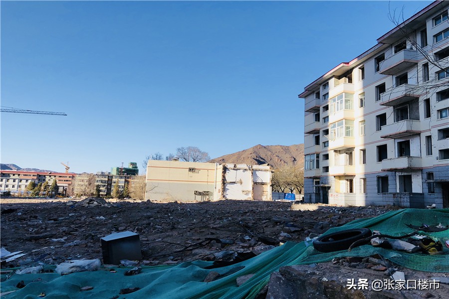 新学校勃勃生机,新学校新环境新起点