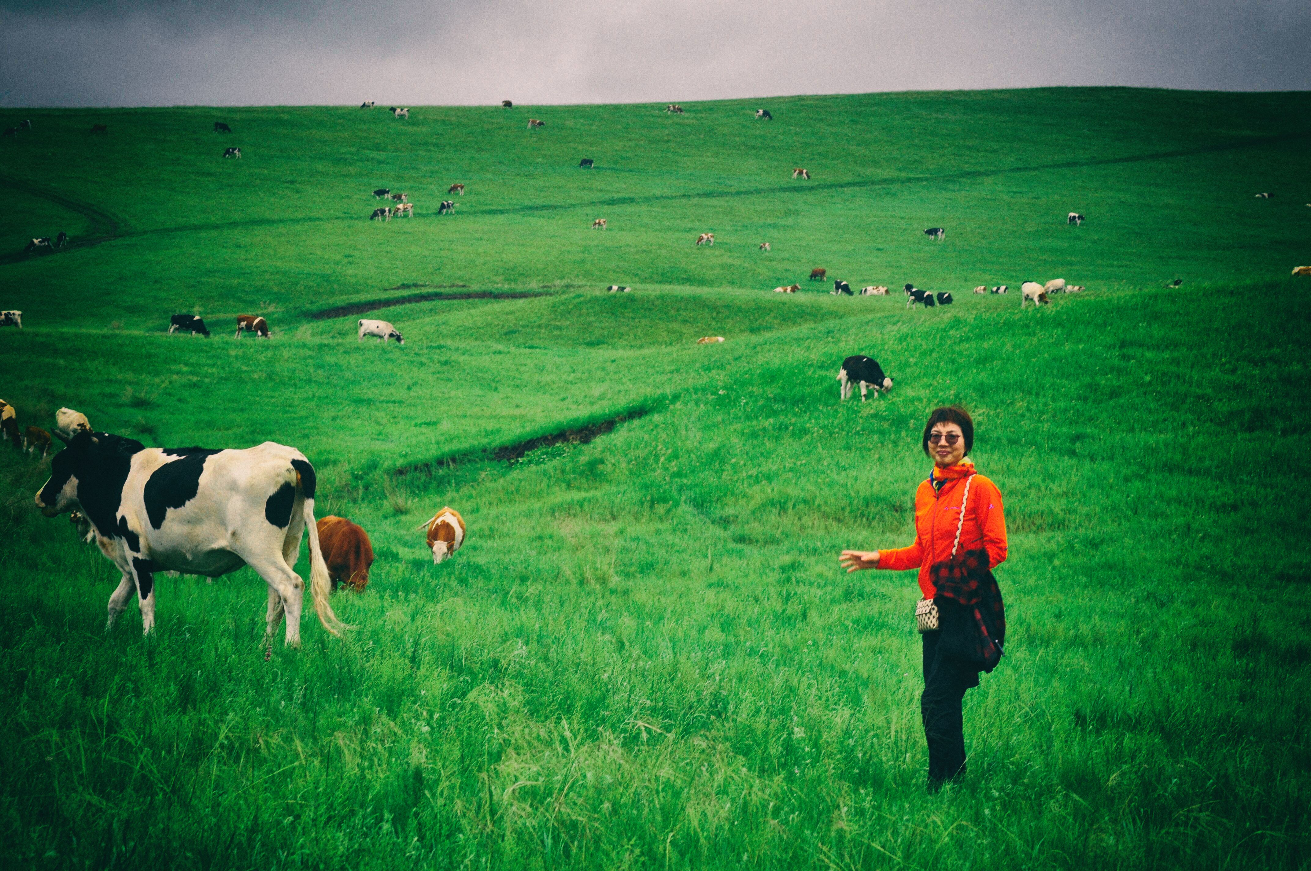 东北边疆,东北行游记2019