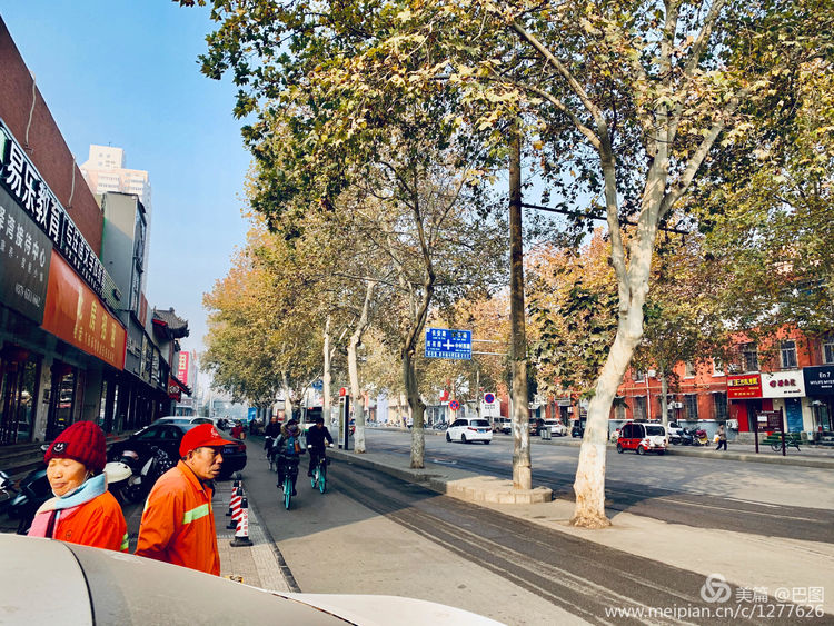 涧西牡丹广场老照片,洛阳牡丹手机拍照