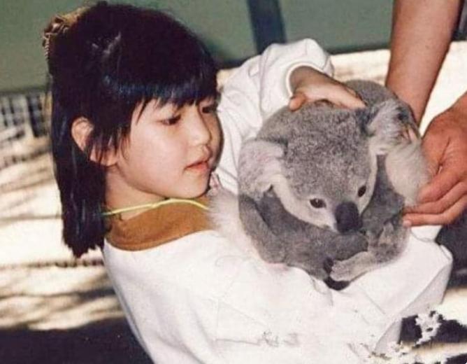 陈妍希的瓜,台湾女神陈妍希