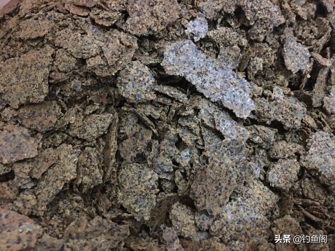 自制干小麦窝料专攻大板鲫,自制草鳊青鲫通杀窝料