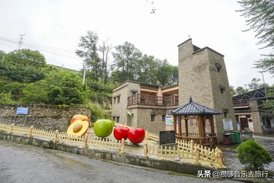 汶川三宝特色水果产业,汶川三宝果园