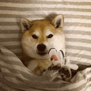 3块钱的维生素和300块钱的有什么区别?吃维生素真的有用吗?