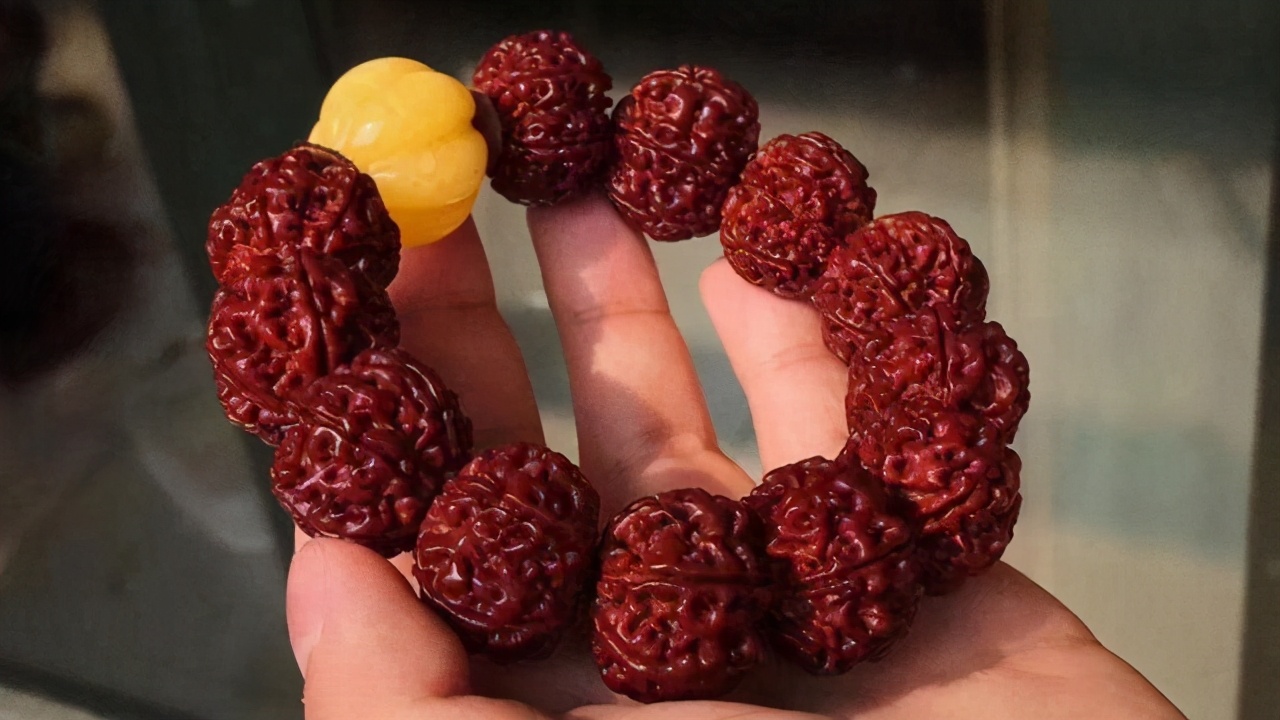 玩金刚菩提的9大误区,金刚菩提的基本知识