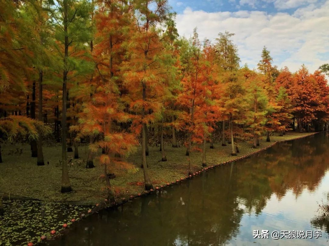 天狼团队最新视频,天狼团队所有视频