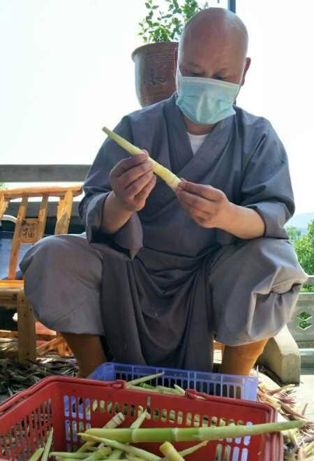 抢抓农时开展农业生产,农民纷纷抢抓春耕生产有利时机