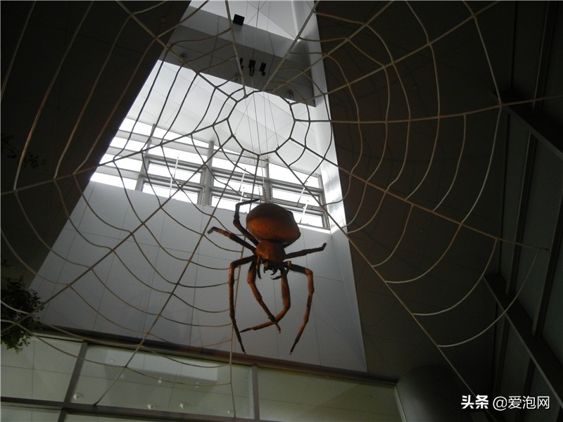 上海科技馆游玩攻略,上海科技馆亲子游玩攻略