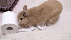 放下了七情六欲戴上金箍才能救你,带上金箍就不能有七情六欲了