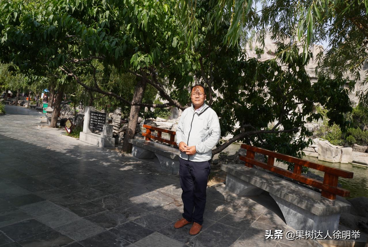 果树红蜘蛛为何会在雨季消失,果树红蜘蛛防治方法大全