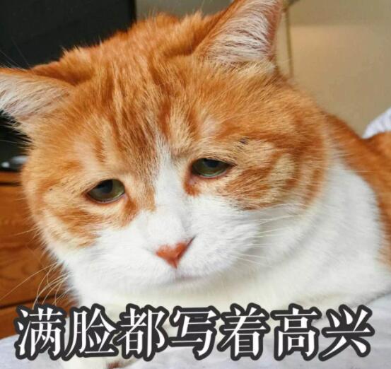 过年最容易被误解的专业,学的专业被误解