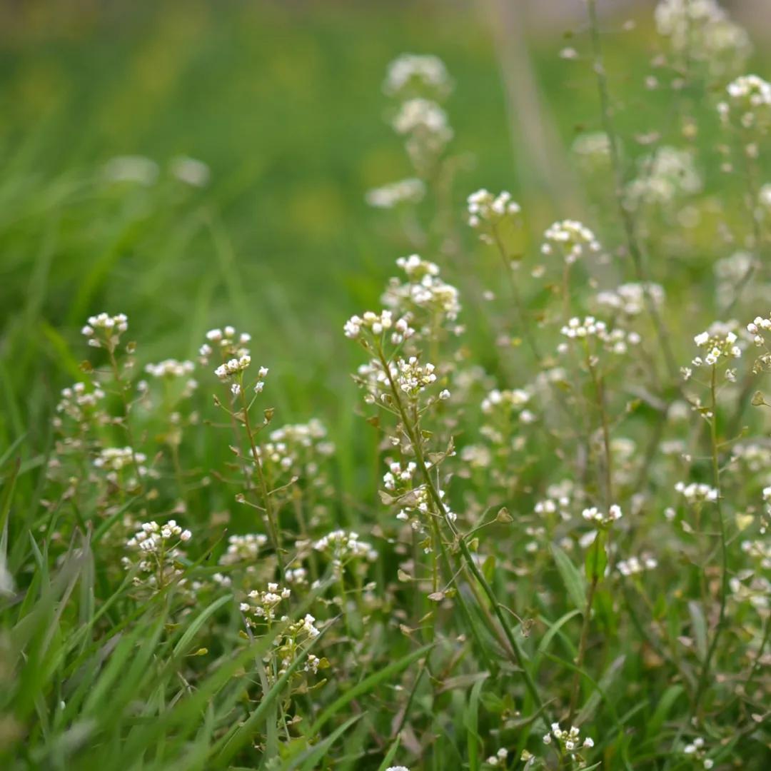合肥融创茂宝藏秘境,合肥宝藏地
