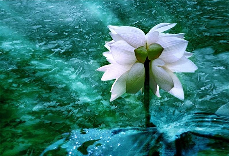 广州恒大足球场新规划,恒大广州足球场规划图