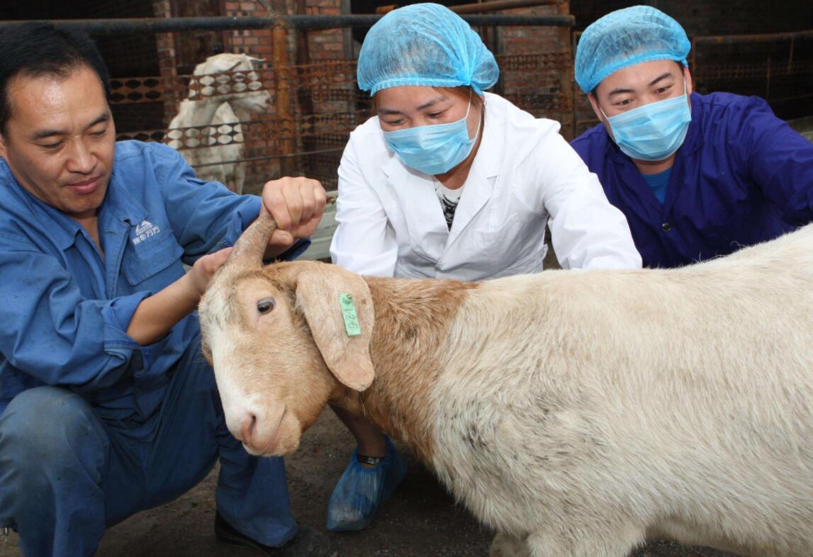 养殖农业为什么不赚钱,养殖为什么很少发财的