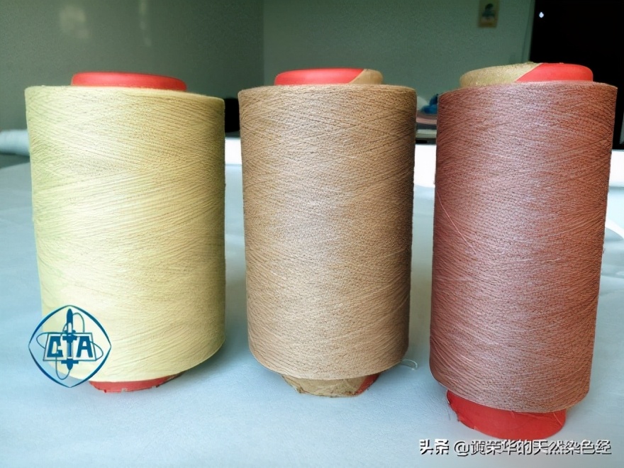 植物染色染黑步骤,植物染色过程