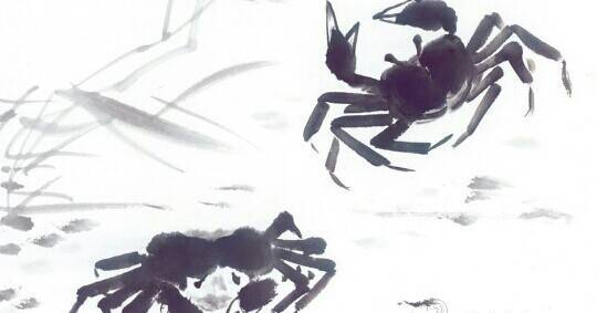 邹晓丽老师:《红楼梦》中的诗词(五)