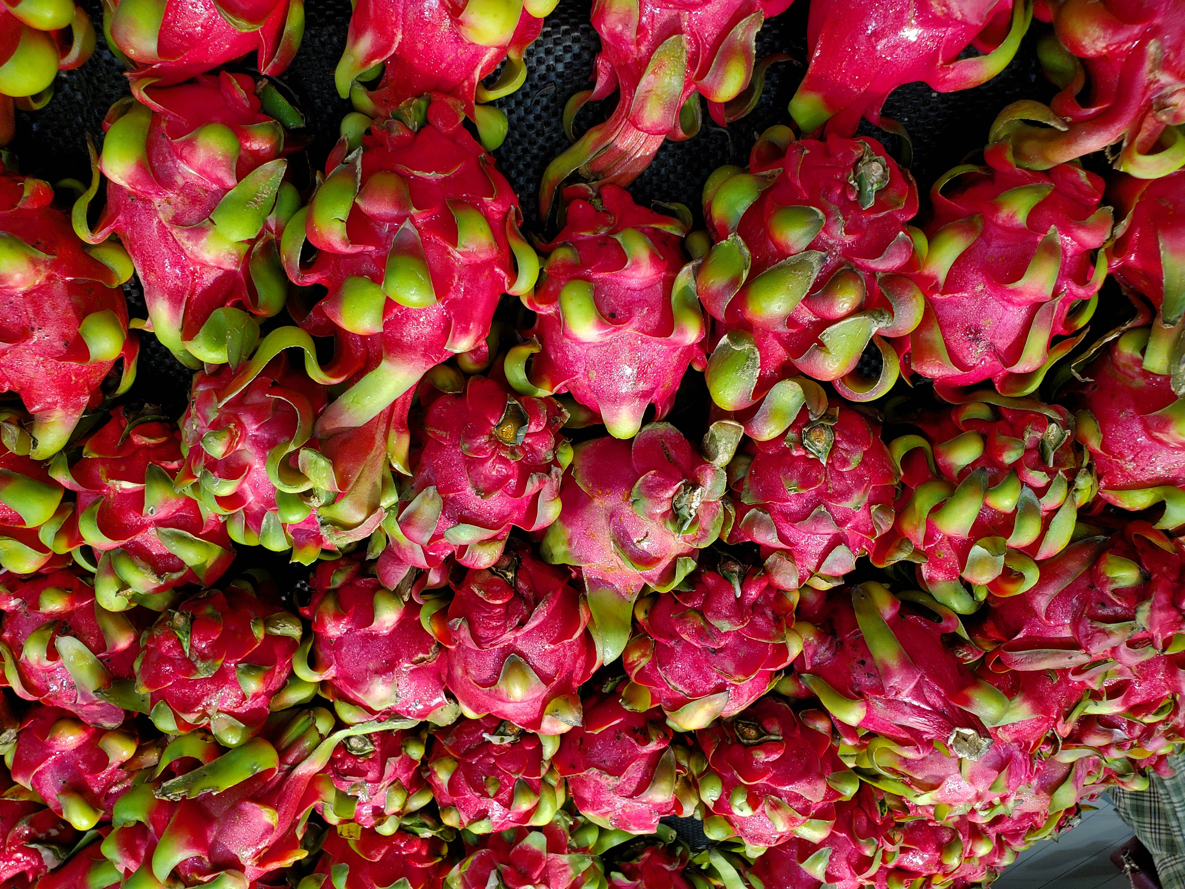 vivoz5价格为什么便宜,vivoz5值得入手吗