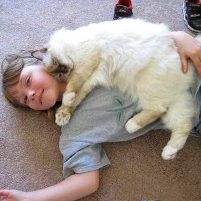 猫咪发情到处撒尿圈地，除了绝育还有什么更好的办法呢？