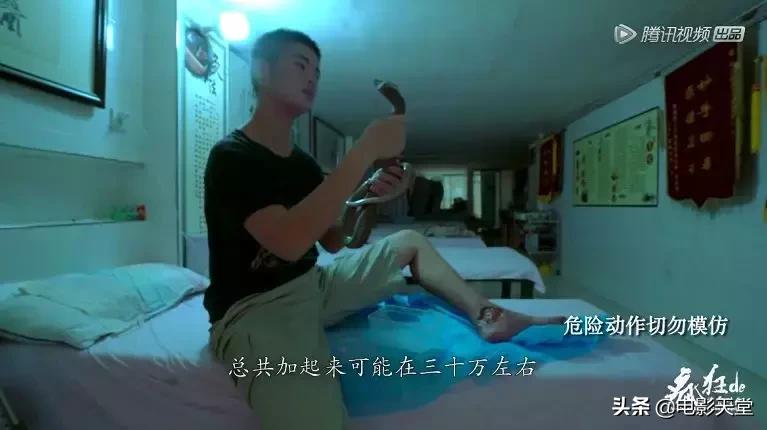 购买毒宠成瘾，甚至为此险些丧命，这是什么奇葩欲望？