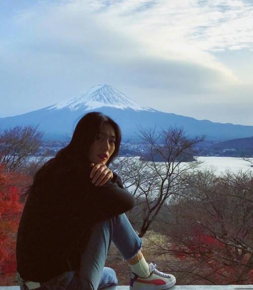 刘雯的经历,刘雯经历