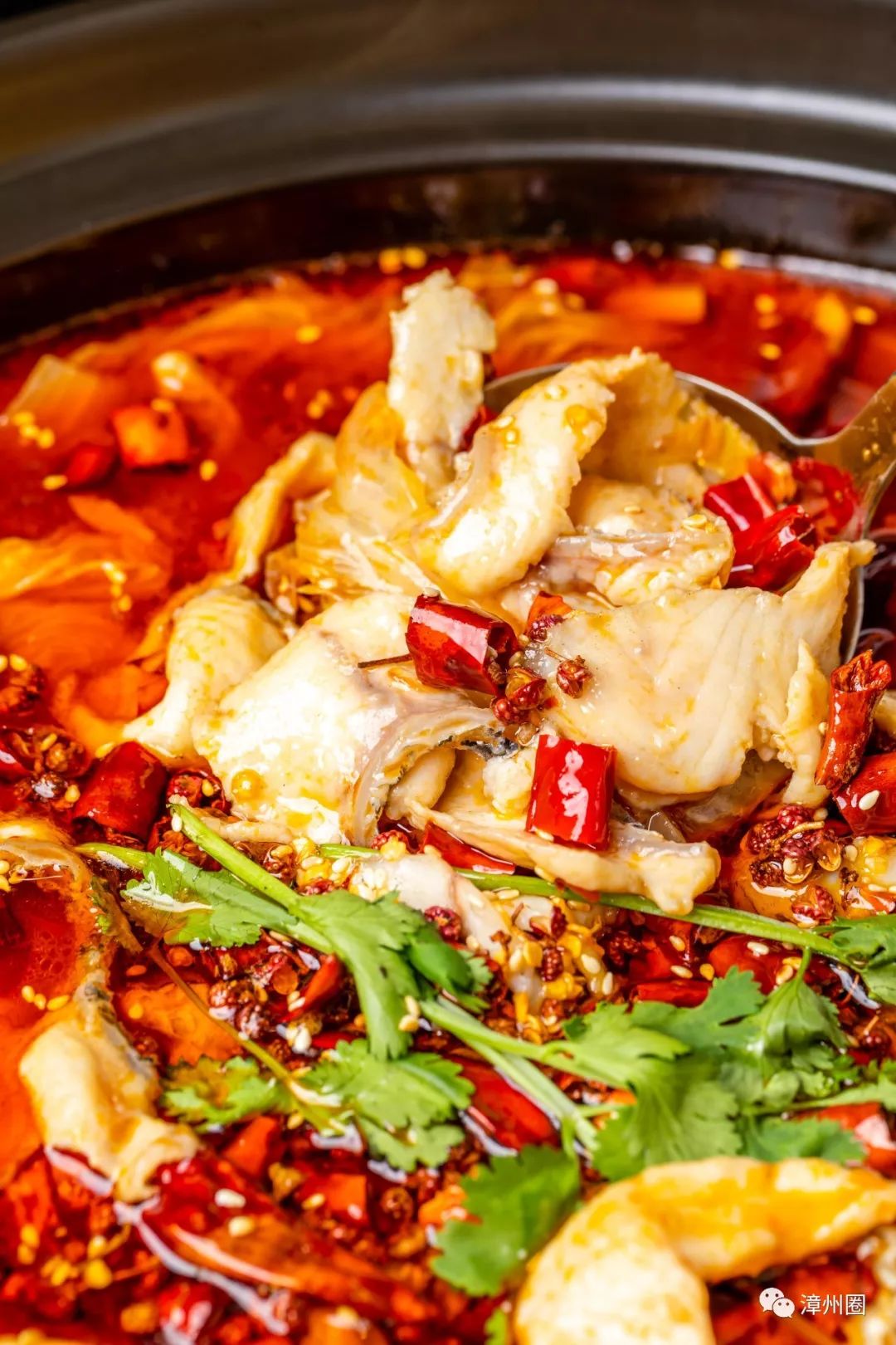 柠檬鱼总店,真味柠檬鱼新店