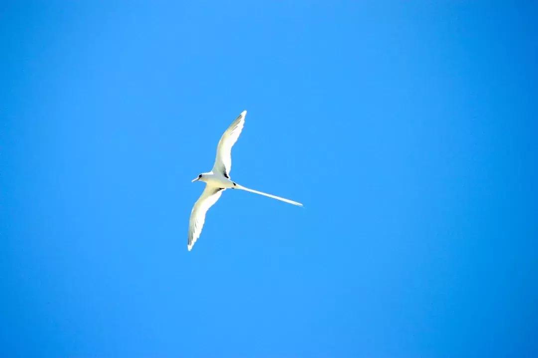 香港麦理浩徒步路线,香港徒步是全球十佳徒步路线吗