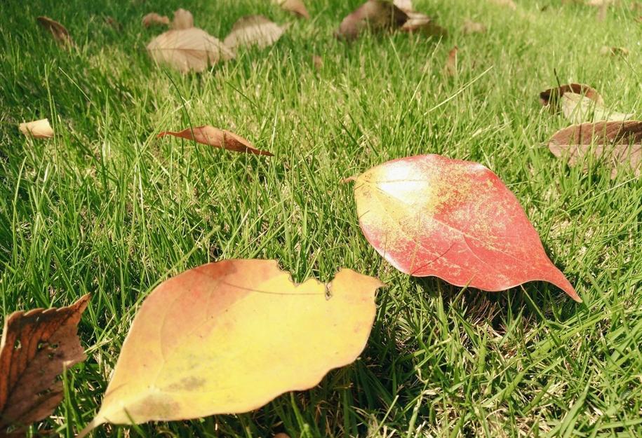 期货交易中怎么尊重市场,如何在期货市场中找到自信