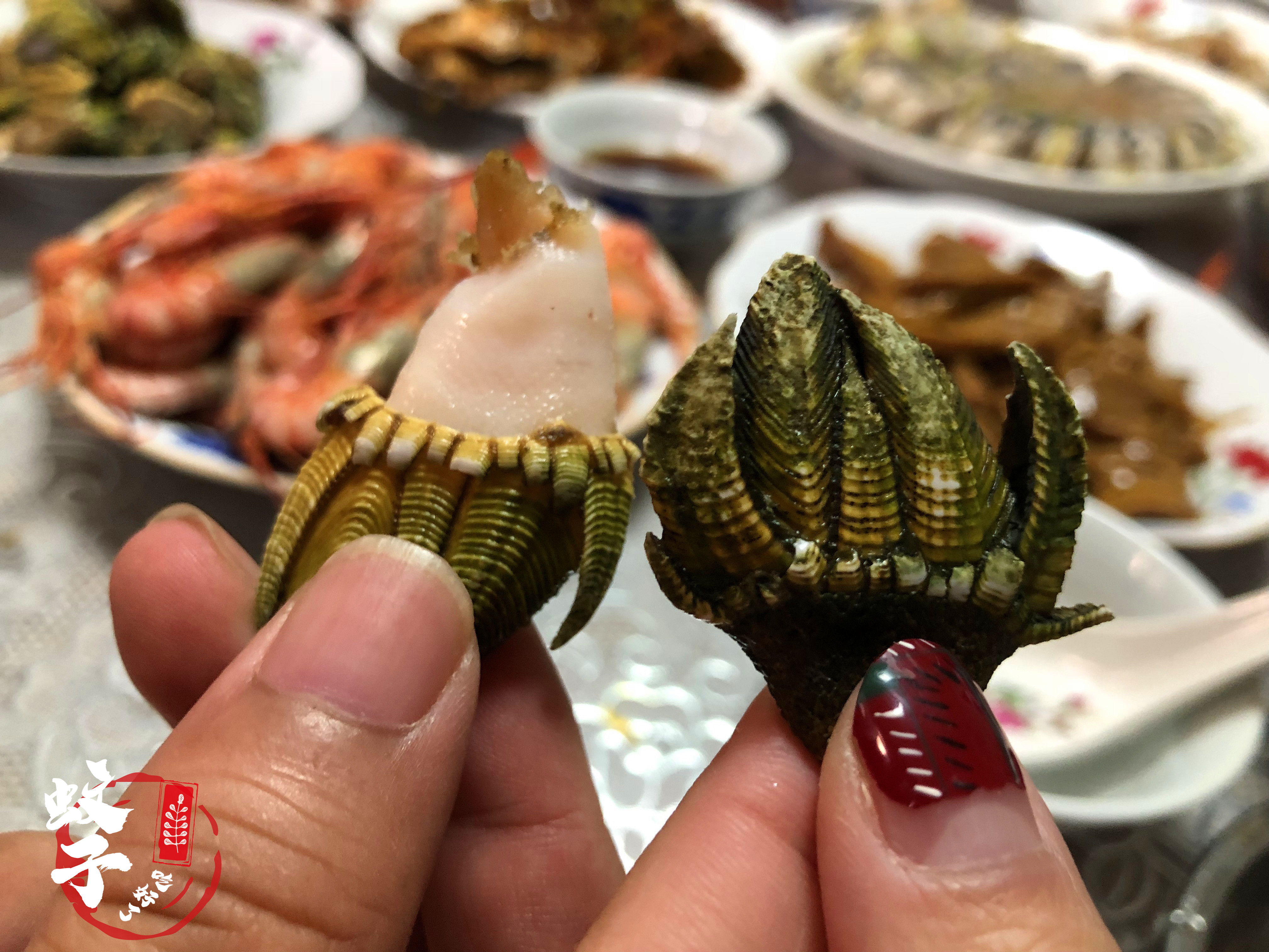 因为各种贝类美食，甘愿远嫁离陆地7小时船程的小岛