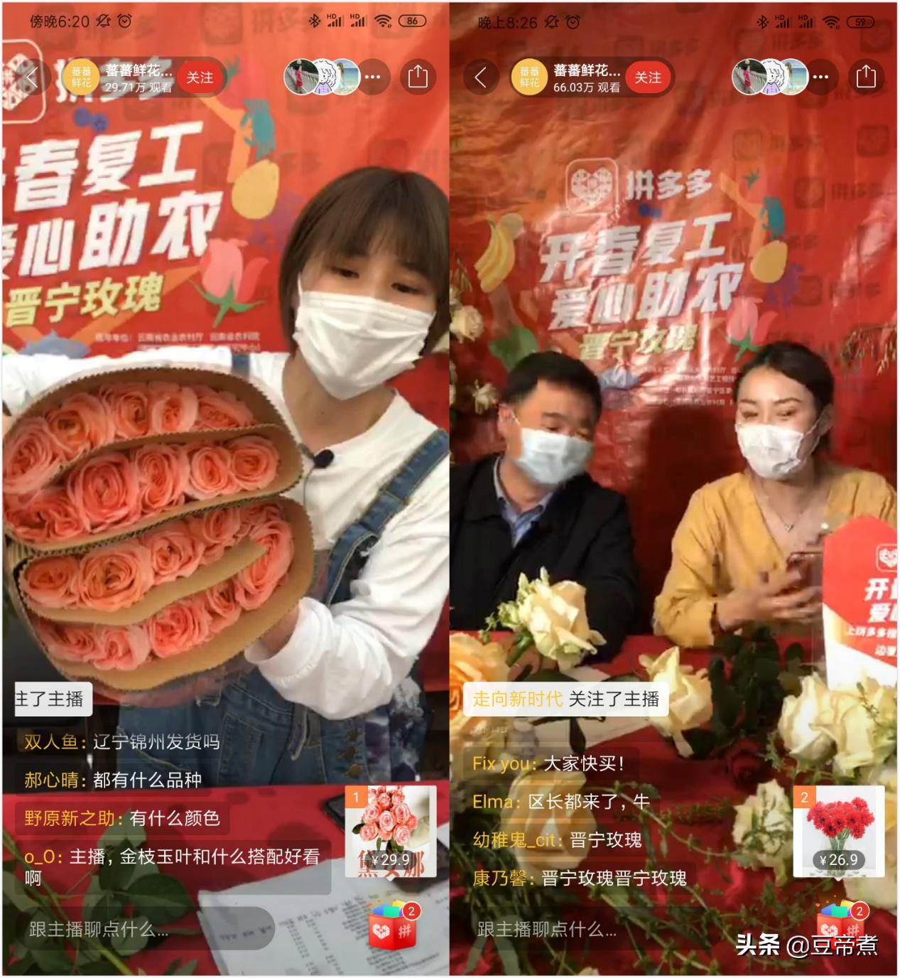 5毛一支花，花农宁愿销毁！云南县长区长为民直播，160万网友驰援