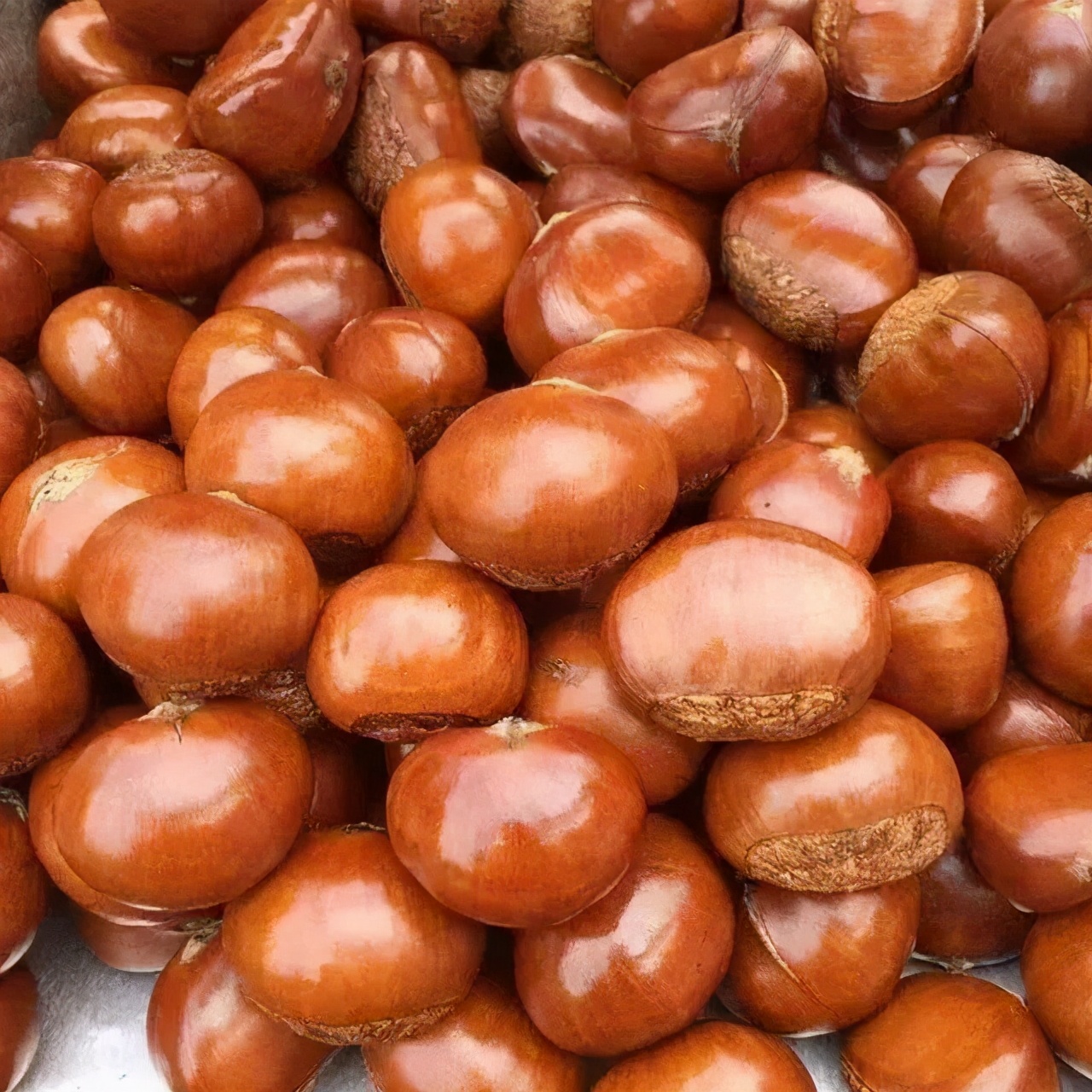 天津人去的地道馆子,天津人的美食标配