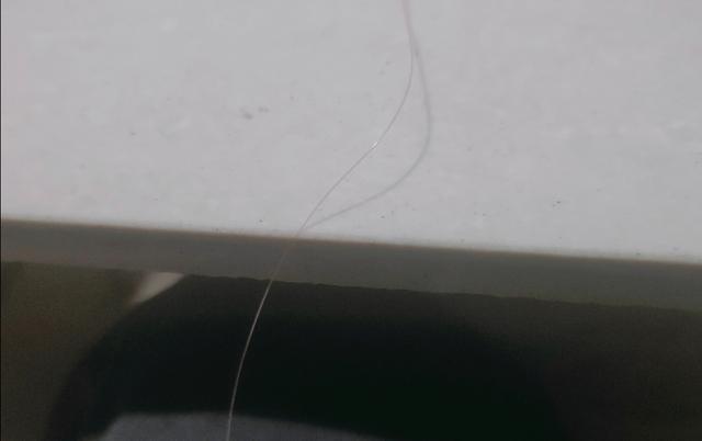 一味台钓线,一味经典线组