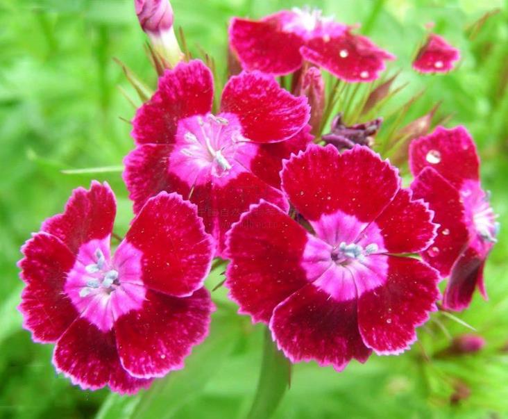 家庭不祥的四种信号,一个家庭一旦出现这3个征兆