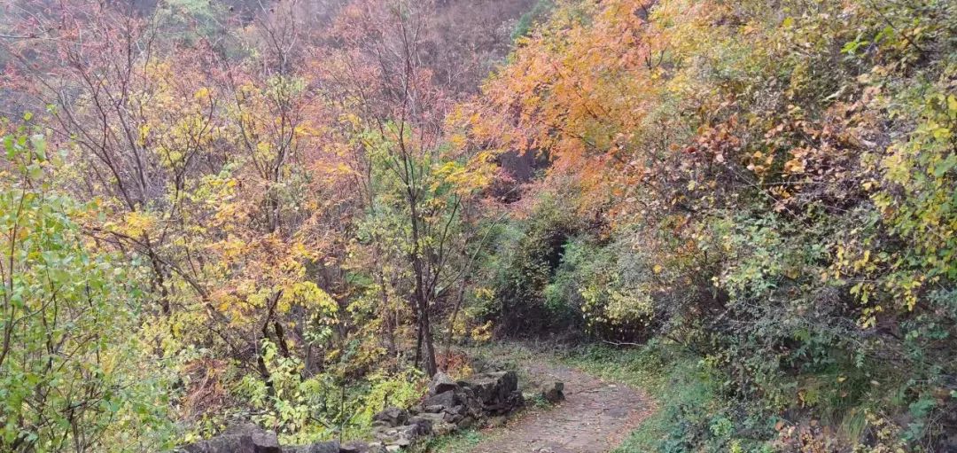 秋香四溢的白陉古道，诗意正浓