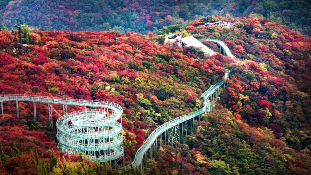 打造地方特色文旅项目,重磅打造的文旅项目