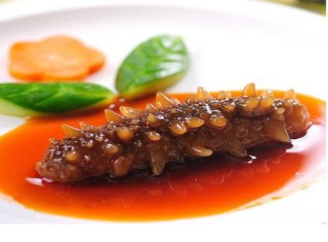 燕窝海参营养价值,鱼翅和海参哪个营养价值高