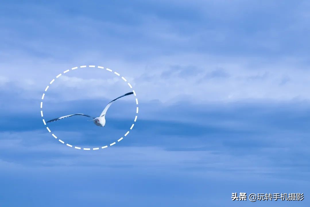 手机拍照功能应用技巧,手机拍照辅助神器