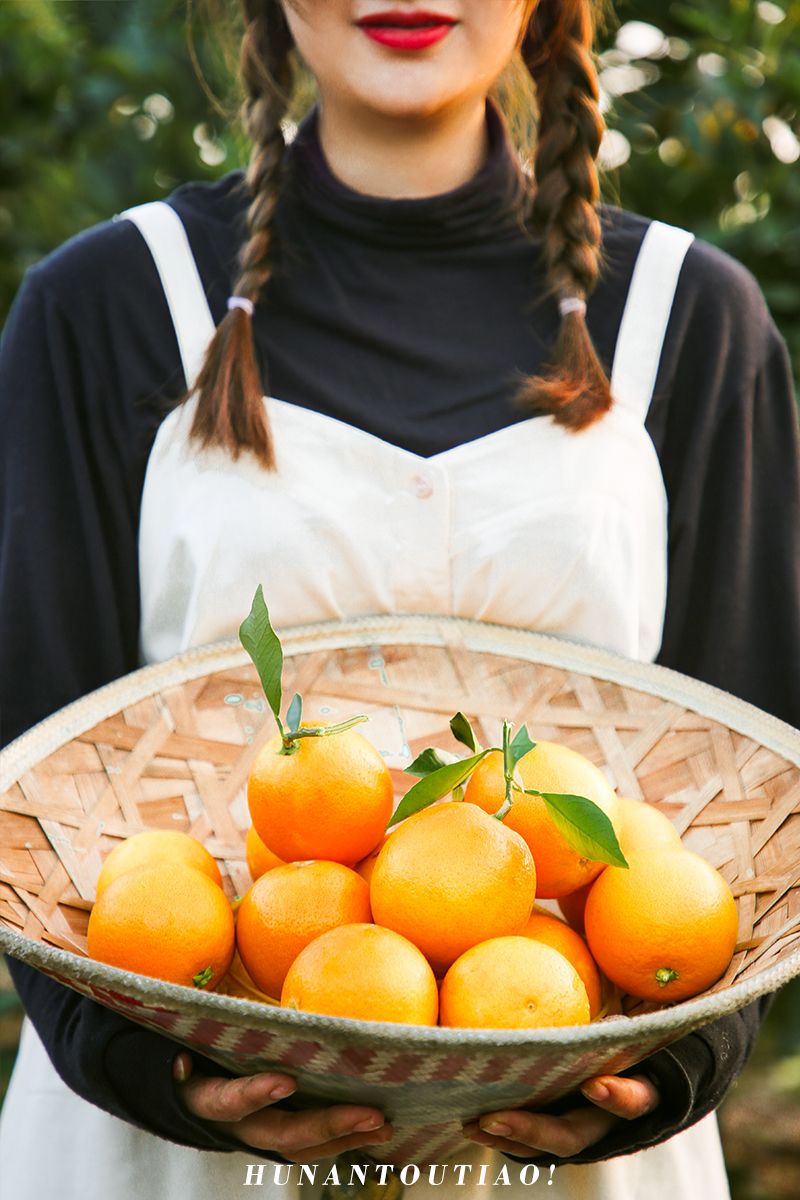 超爽福利暴击！高山神秘“金疙瘩”,甜蜜你的冬天