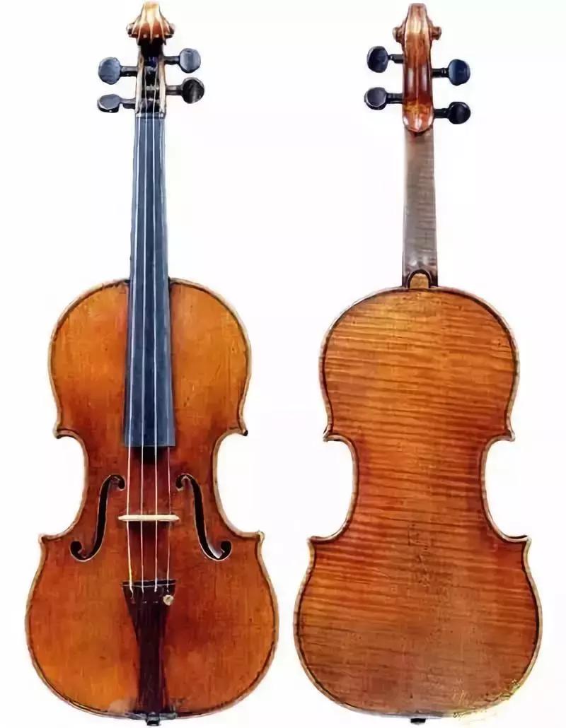 中老年小提琴教学入门,小提琴初学者入门教程