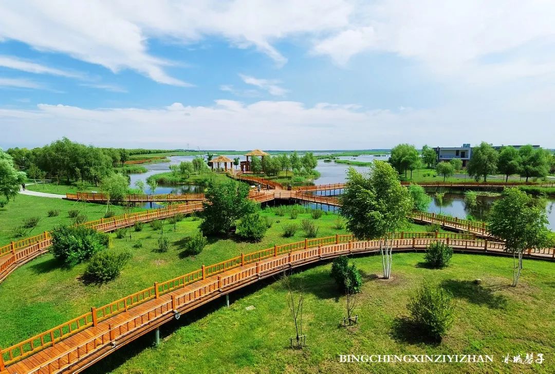 再返富锦，为着那份飘着稻花香的“湿”意约定