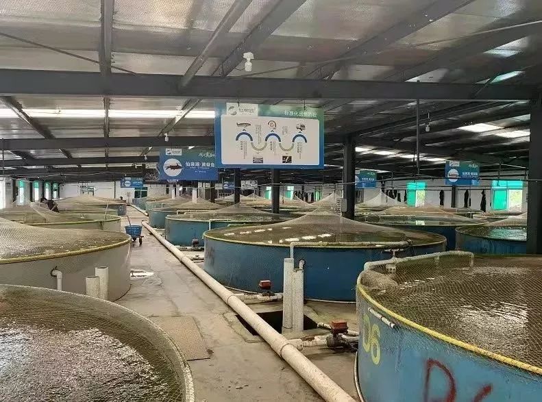 未来海鲜市场的发展趋势,海鲜市场未来发展的趋势