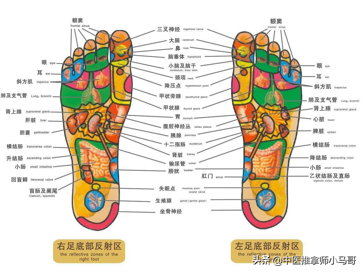 足疗常识,足疗基础知识