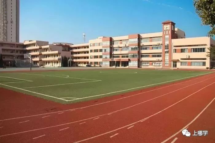 潜力股！上海16区黑马公办小学PK！谁会是下一个明珠、向阳？