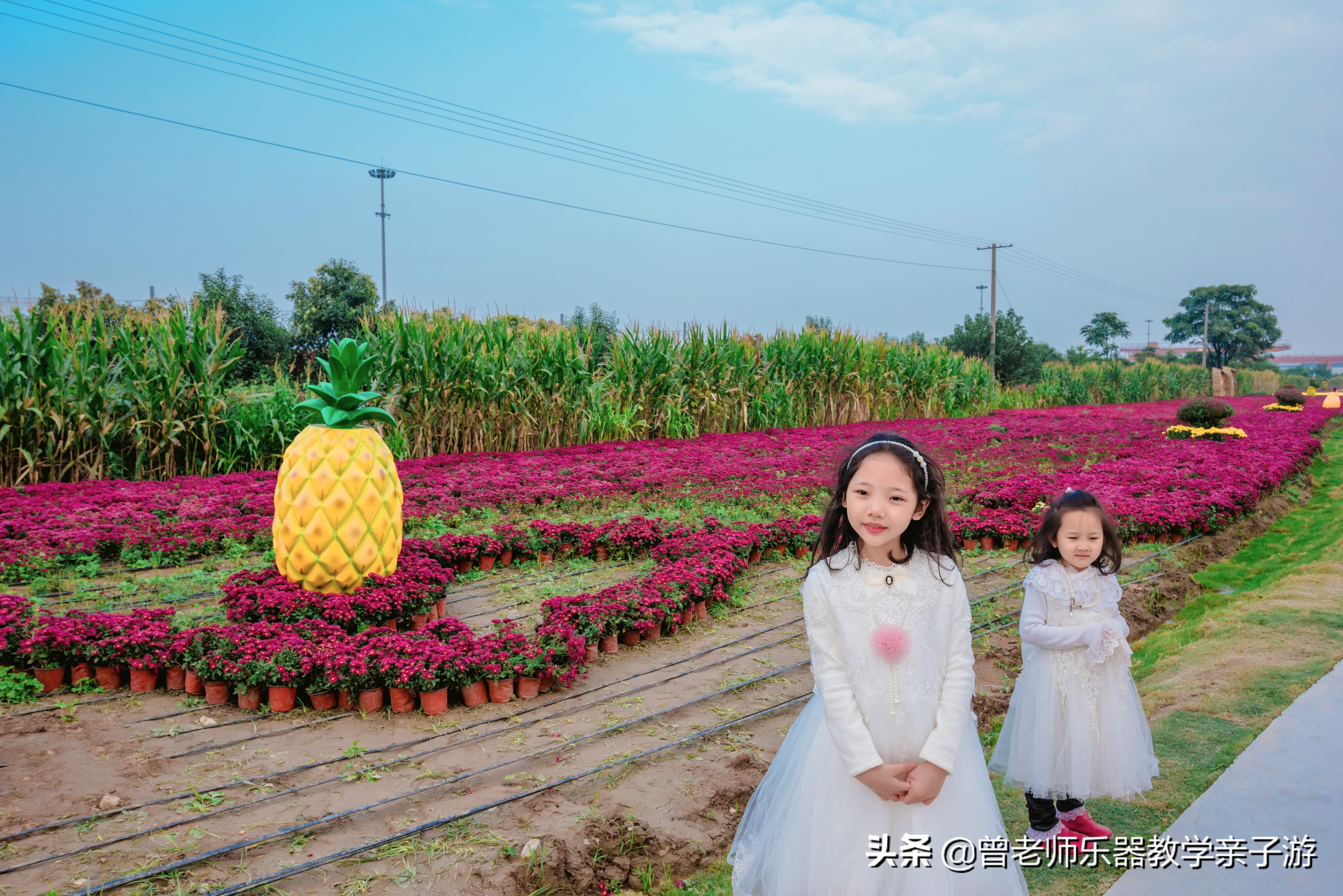 爱菊研学游,爱菊丝路文化菊花园西安