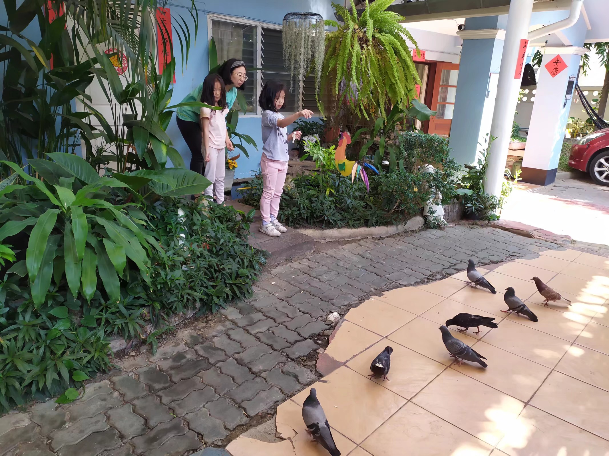 60多块钱收留我们的那家清迈民宿，还是没能熬过非常时期，遗憾