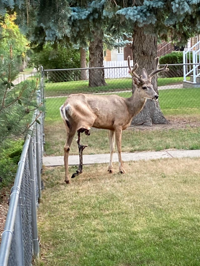 全身发抖照片,浑身发抖的图片