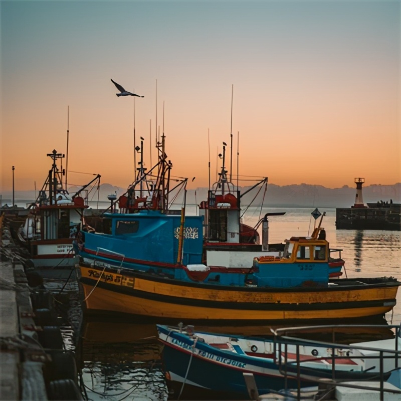 为了鳕鱼,这个弹丸小国和英国皇家海军打了三仗,居然都赢了