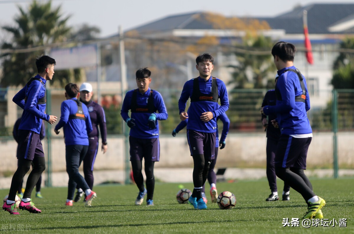 泰达目前阵容,天津市泰达足球队是要解散吗